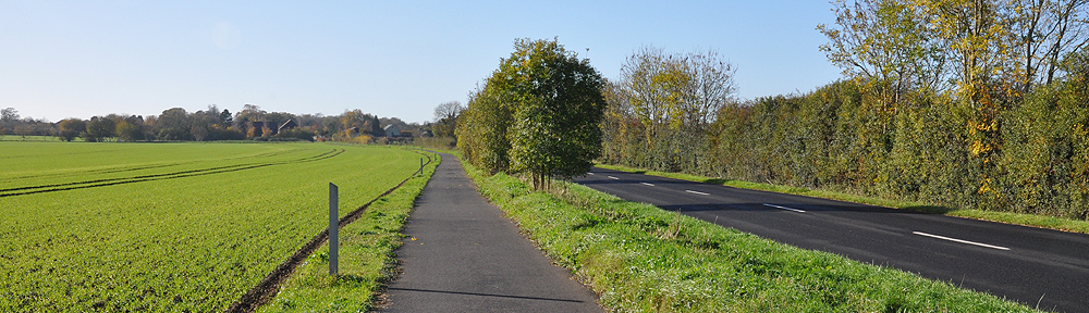 Transport Initiatives