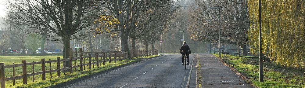 Transport Initiatives