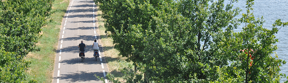 Transport Initiatives