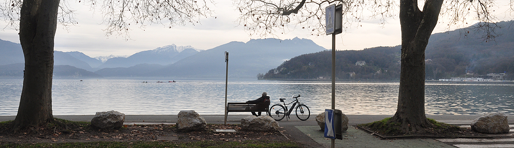 Transport Initiatives